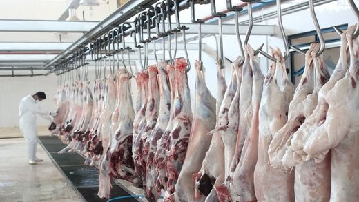 آغاز توزیع گوشت قربانی در مناطق محروم خراسان شمالی 