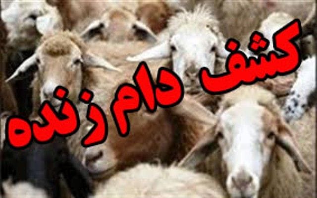 توقیف خودرو‌های حامل احشام قاچاق در مهر