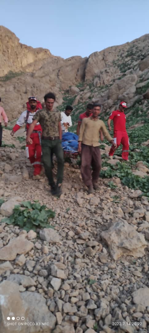 حمله خرس به چوپان ۳۳ ساله در ارتفاعات سمیرم؛ عملیات ۸ ساعته برای نجات جان جوان