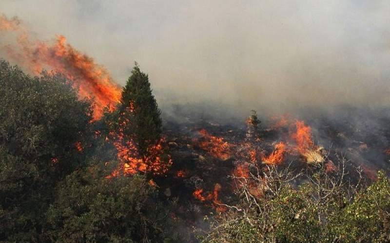 آتش سوزی در بیش از ۴ هکتار در جنگل‌های گیلان