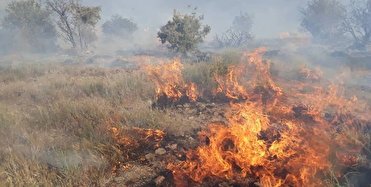 هشدار وقوع آتش سوزی در مراتع و جنگل های آذربایجان غربی