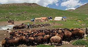 اختصاص 330 میلیارد تومان برای اجرای طرحهای عمرانی در مناطق عشایری آذربایجانغربی