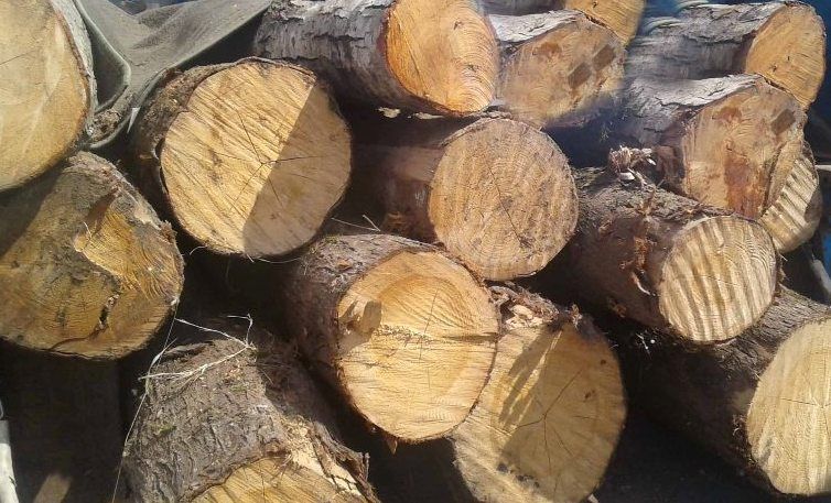 توقیف ۴ تن چوب قاچاق در شهرستان کمیجان