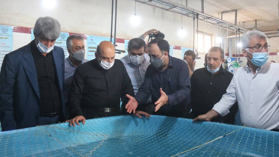 سهم ۱۲ درصدی خوزستان در تولید محصولات شیلاتی کشور