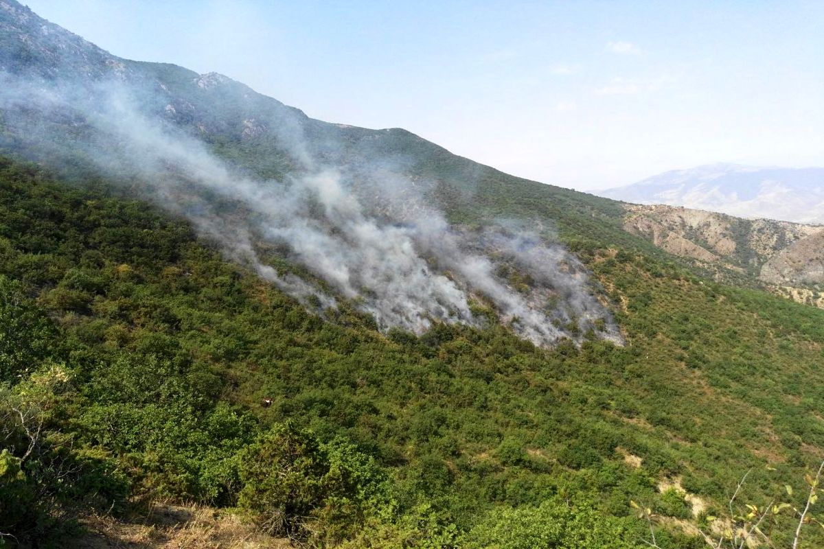 کاهش ۹۱ درصدی آتش سوزی در عرصه های طبیعی کردستان