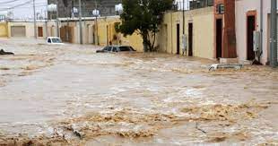 خودنمایی بارش تابستانی در شهرستان خانمیرزا