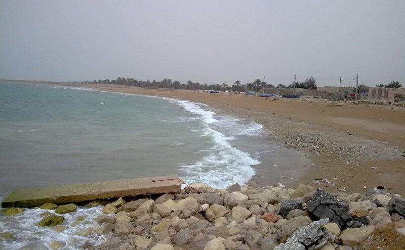 از پیش‌بینی افزایش دما تا تلاطم دریا در بوشهر