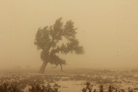 سامانه سه روزه طوفان گرد وخاک در شرق کشور