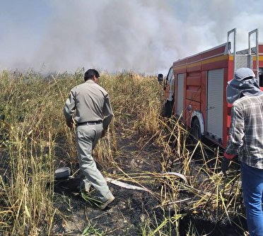 اطفا حریق در نی زار روستای گرد یعقوب مهاباد