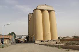 ۴۴ هزار تن گندم به ذخایر محصولات اساسی کشور افزوده شد