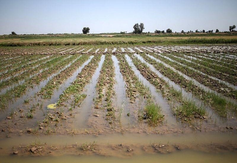 خسارت ۵ هزارمیلیاردی سیل به کشاورزی فارس