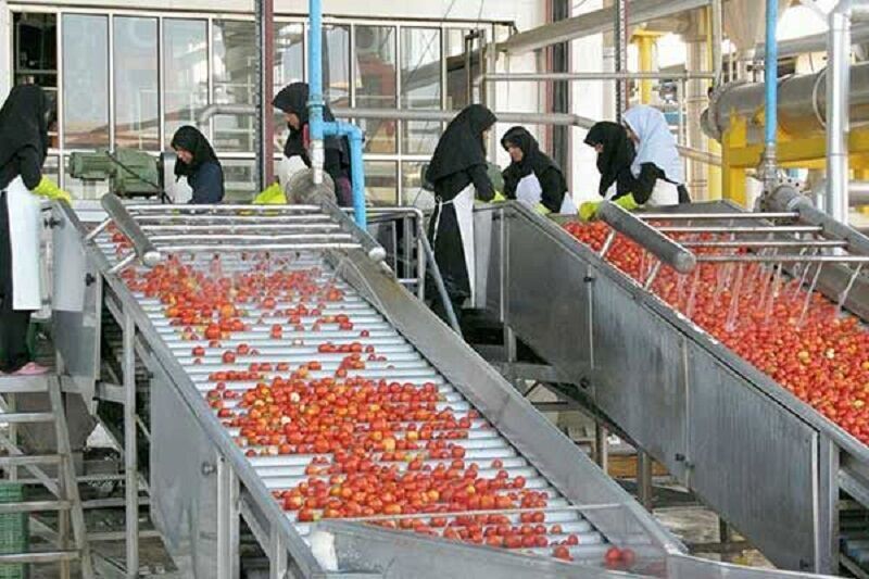 ظرفیت واحد‌های صنایع وابسته به کشاورزی استان بوشهر به ۶۴۰ هزار تن رسید