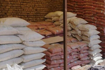 احتکار ۲۴ تن برنج در «دورود» لرستان