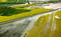 ارزیابی حدود ده هزار میلیارد تومانی خسارت سیل اخیر به زیرساخت‌های کشاورزی