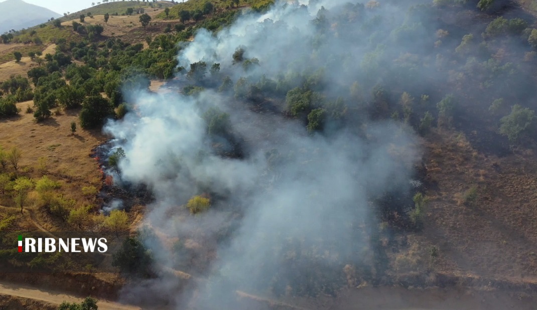 آتش‌سوزی مراتع و جنگل‌ها در کردستان ۸۰درصد کاهش داشته است