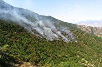 مهار آتش در منطقه قرق جنگلی دره باغ در روستای تنگه راز