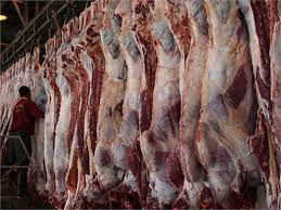 تولید حدود ۵ هزار تن گوشت قرمز در خراسان جنوبی