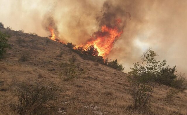 مهار آتش سوزی در بخشی از جنگل‌‌های ارسباران