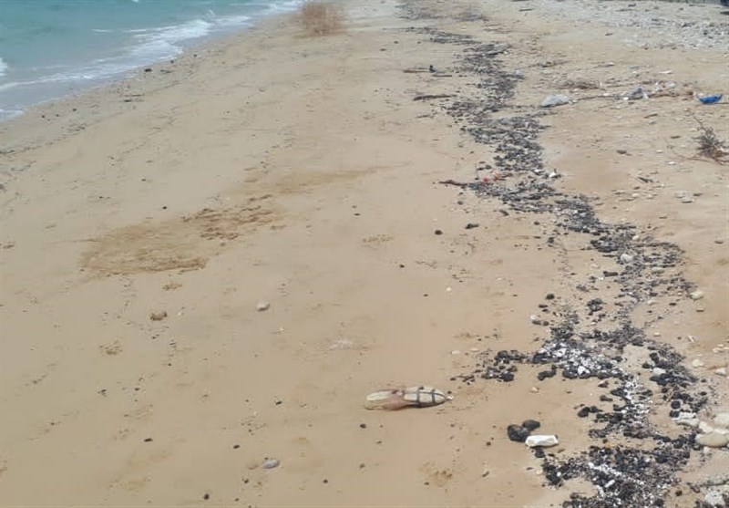 آلودگی نفتی سواحل جنوب بوشهر