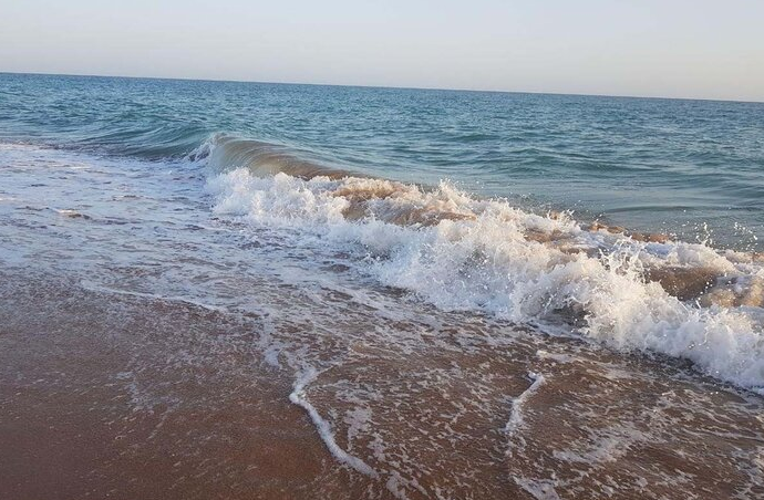 سواحل شمالی و مرکزی بوشهر مواج می‌شود