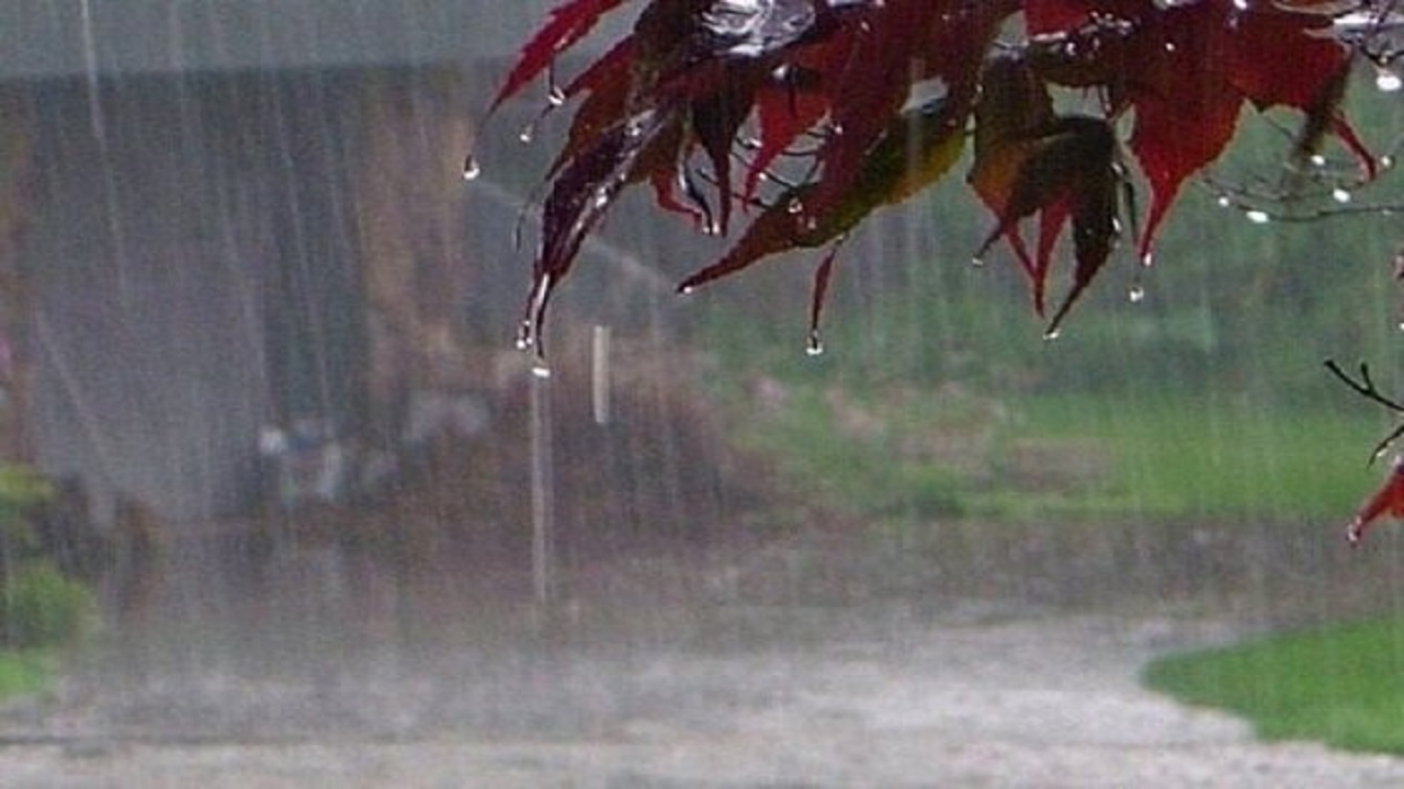 بارش ۷ و نیم میلی متر باران در رازمیان 