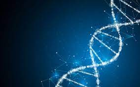 ساخت یک موتور مولکولی چرخشی با کمک DNA