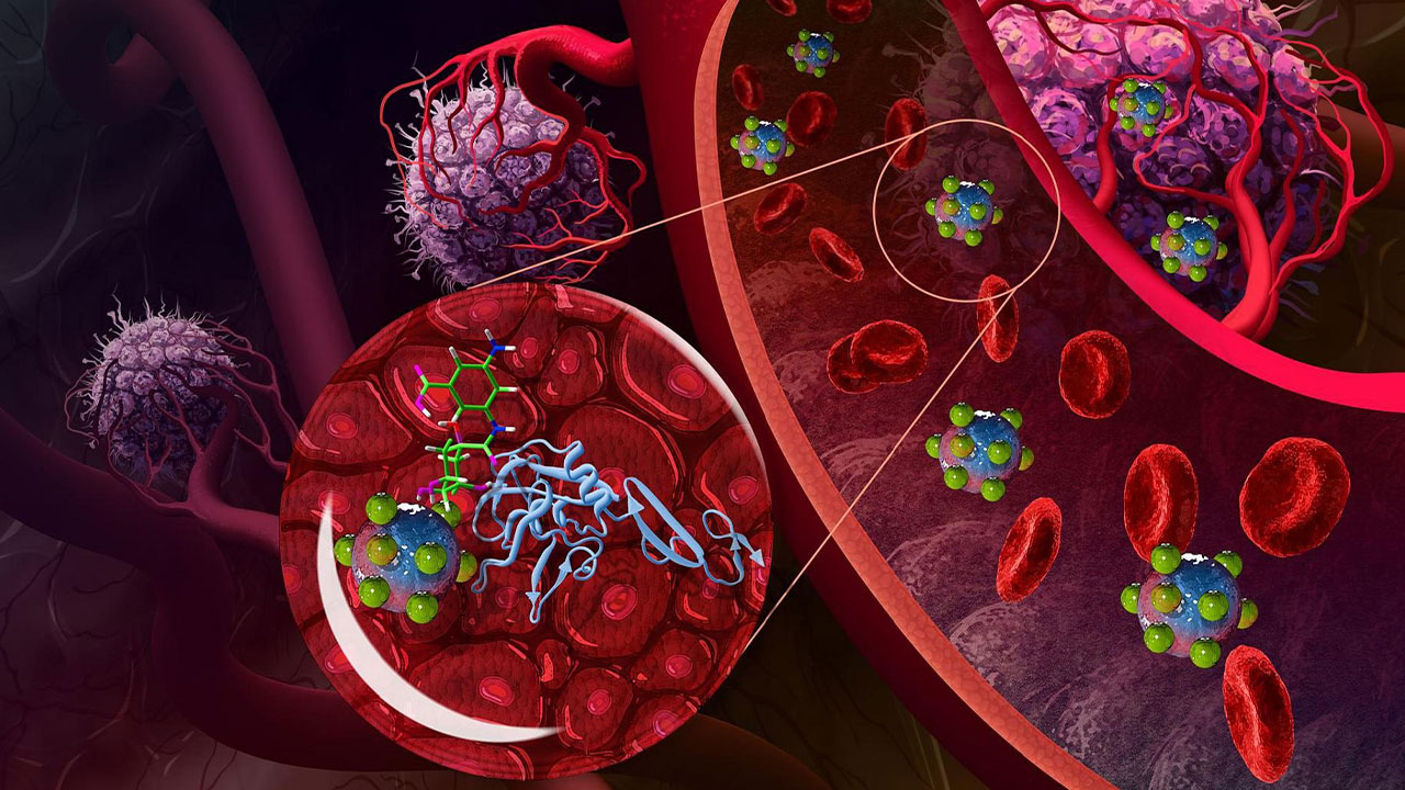 چطور بفهمیم سلول‌های سرطانی با نانوذرات چه برهمکنشی دارند؟سلول‌های سرطانی چگونه به نانوذرات واکنش نشان می‌دهند