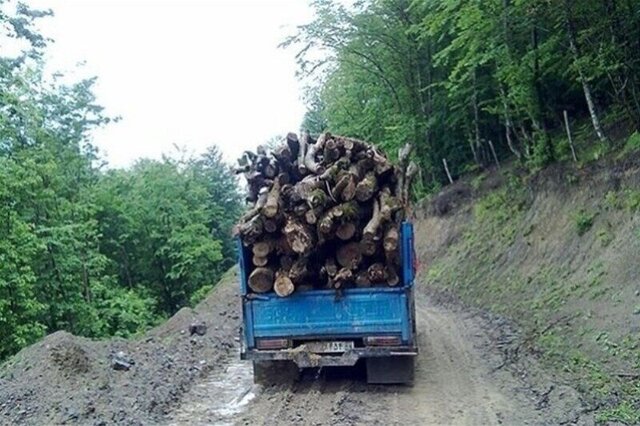 بازداشت قاچاقچی چوب جنگلی در شیراز