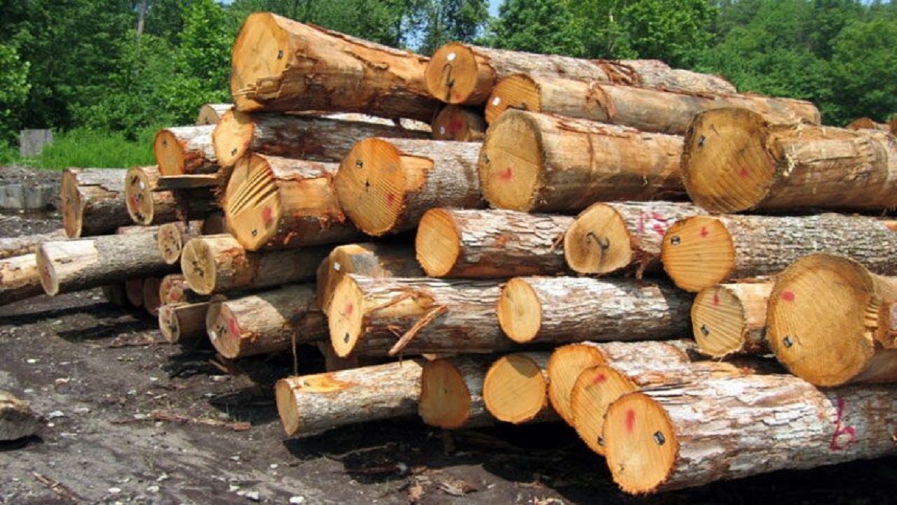 کشف بیش از ۲.۵ تن انواع چوب در دشت آزادگان