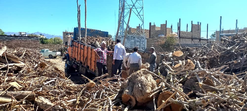 صدور مجوز پروانه حمل بیش از ۴۰۰ تن چوب در خلیل آباد