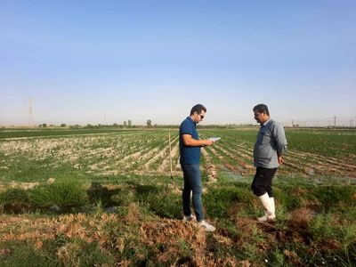 آغاز عملیات مساحی کشت تابستانه و سالیانه در شرکت آبیاری مارون