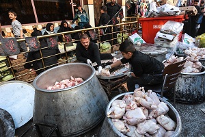 توزیع ۷۸ تن مرغ و گوشت بین مواکب اربعین در خوزستان