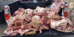 کشف محموله گوشت منجمد غیرقابل مصرف در مسجدسلیمان