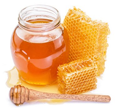 پیش بینی برداشت ۵۵۰ تن عسل در البرز
