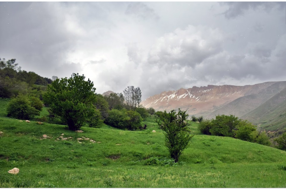 ابلاغ مراتب ثبت ملی ۶ میراث طبیعی به استاندار مازندران