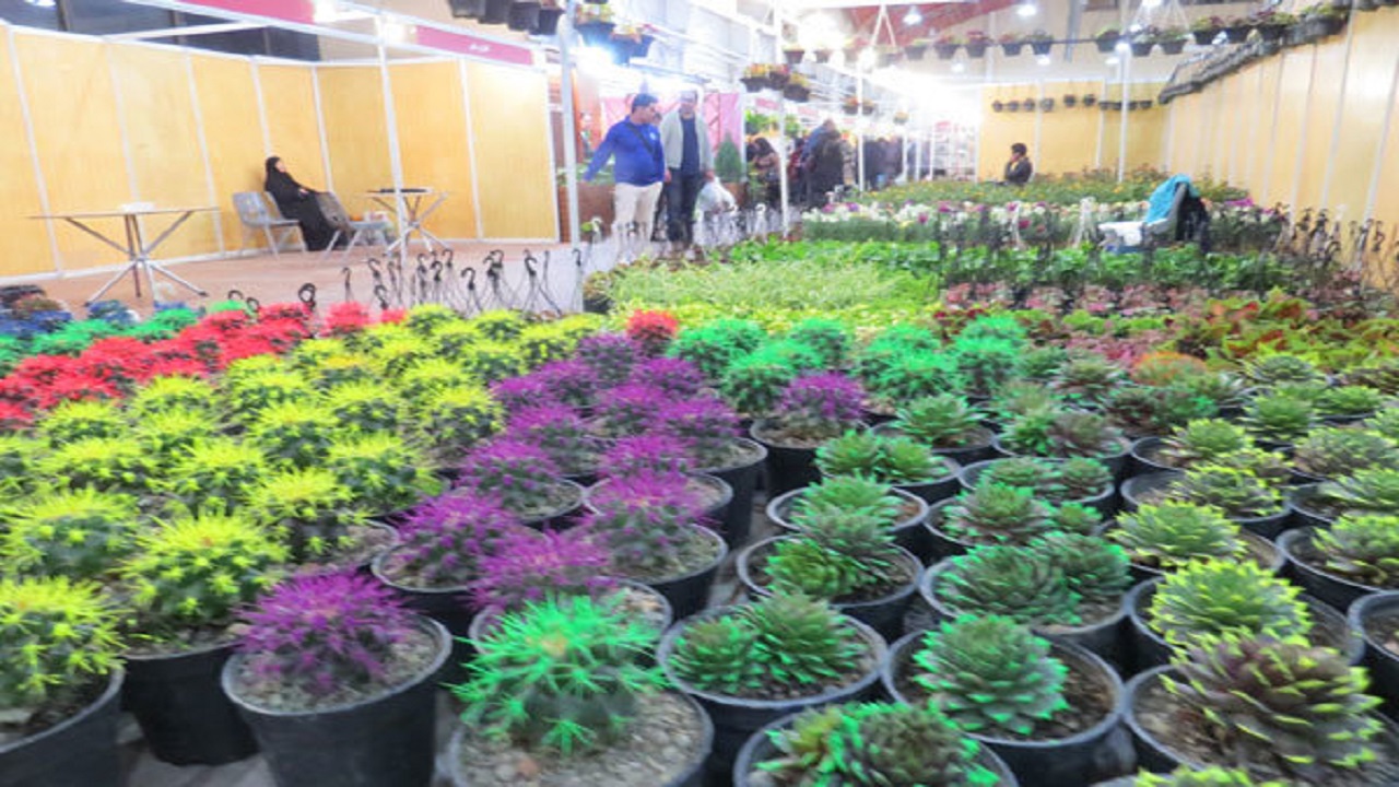 نمایشگاه گل و گیاه در قزوین گشایش یافت