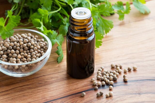 استفاده از یک روغن گیاهی برای کنترل دیابت