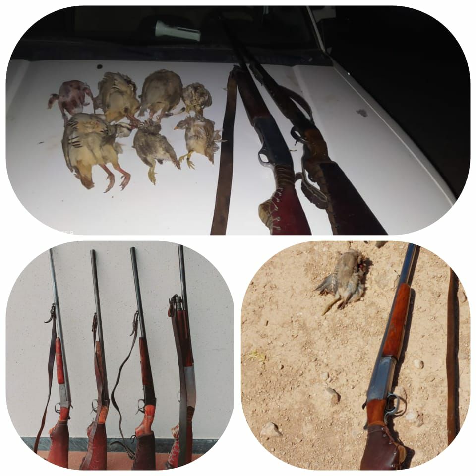 دستگیری ۶ شکارچی متخلف در شهرستان باشت