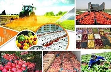 خرید ۲۰ هزار تن محصول کشاورزی بصورت توافقی در کرمانشاه