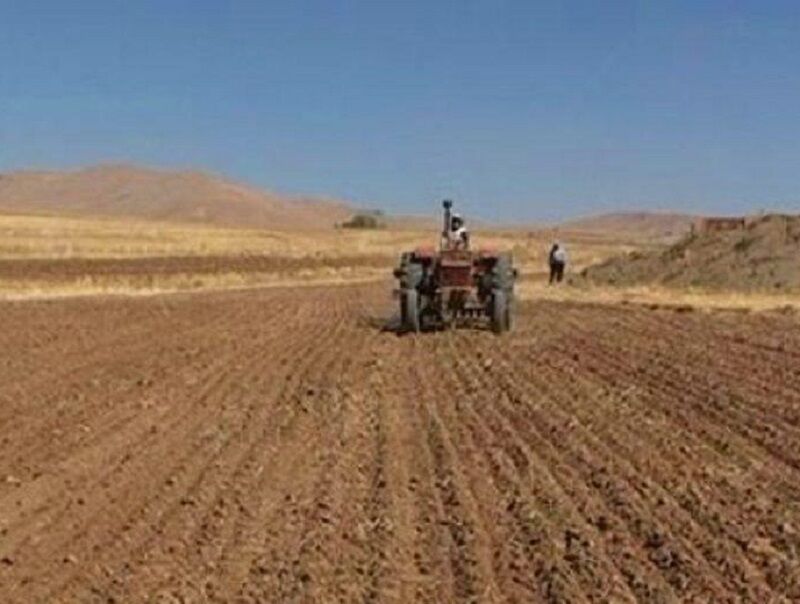 آغاز کشت پاییزه گندم در استان کرمانشاه