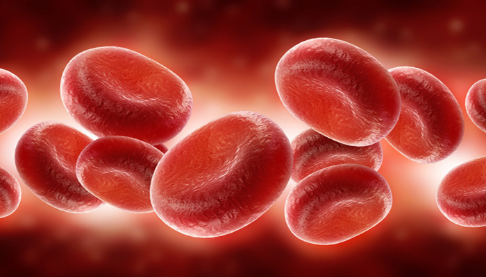درمان بیش از ۸۰ نوع بیماری با استفاده از سلول‌های بنیادین خون بند ناف