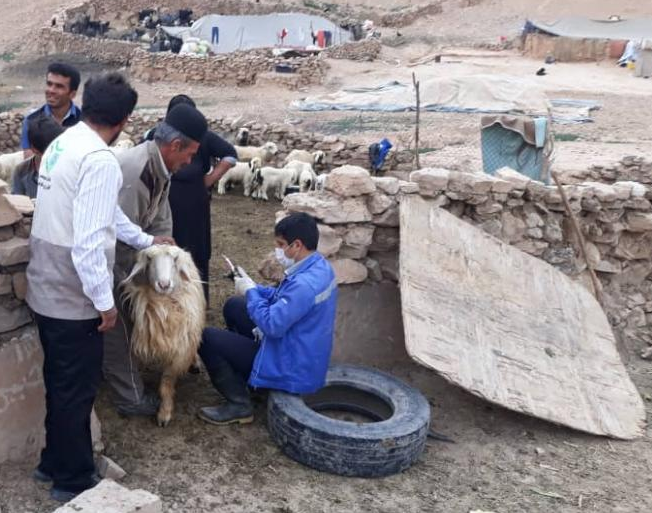 تدوام ایمن سازی دام‌ها و آموزش رایگان عشایر در خوزستان