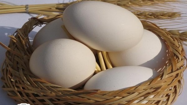 چند نشانه برای تشخیص تخم مرغ تازه
