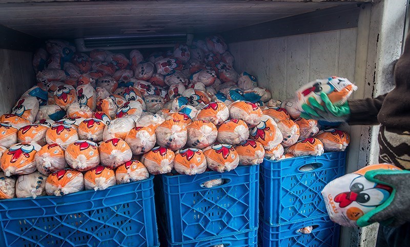 تعدیل قیمت مرغ در خوزستان با توزیع مرغ منجمد