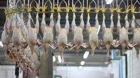 جریمه ۵۰ میلیاردی یک کشتارگاه مرغ به علت گرانفروشی