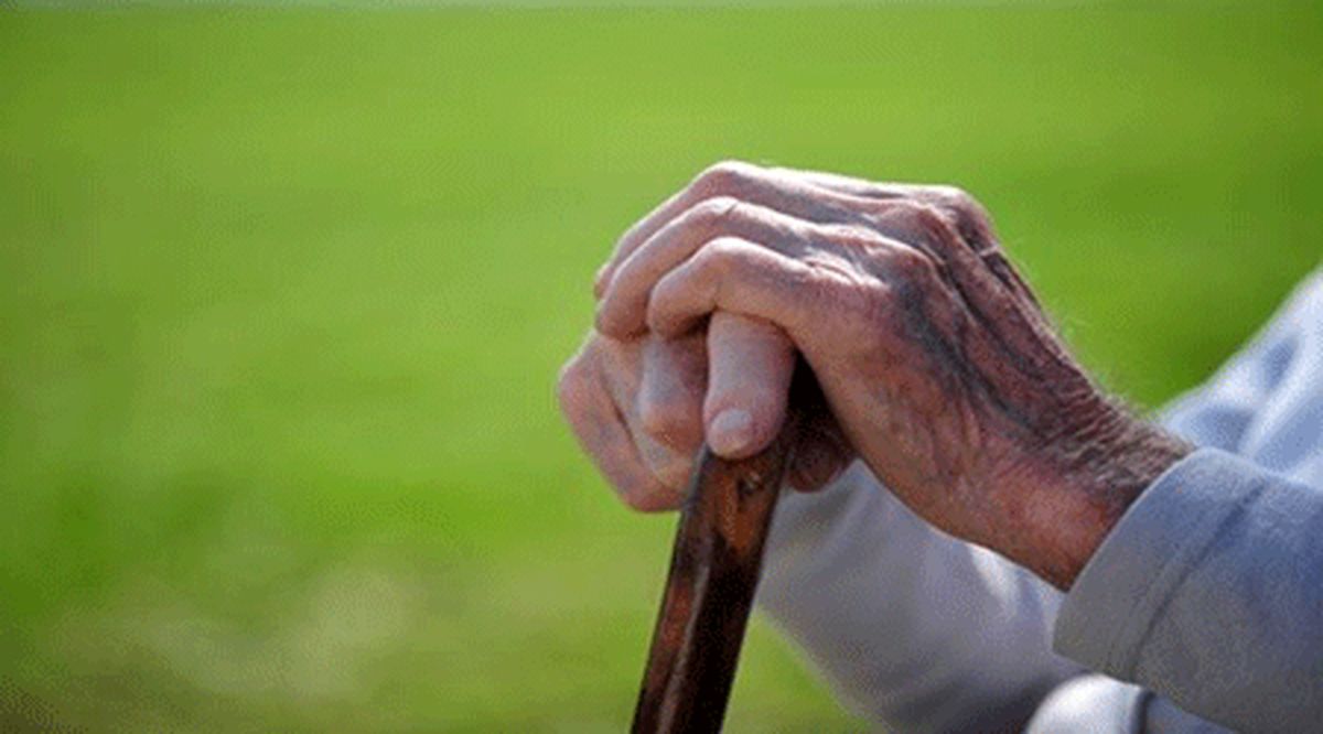اجرای طرح آگاهسازی پیشگیری از معلولیت‌های دوران سالمندی در شهرستان البرز