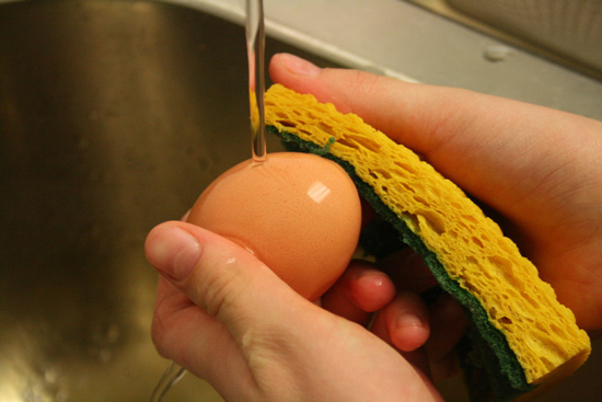 تخم مرغ‌ها را نشویید