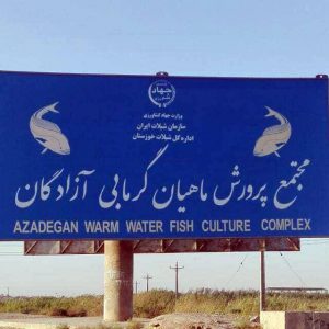 توسعه مجتمع های پرورش ماهی در خوزستان