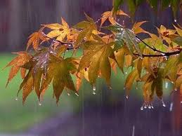 قوت گرفتن بارش‌های پاییزی در گیلان