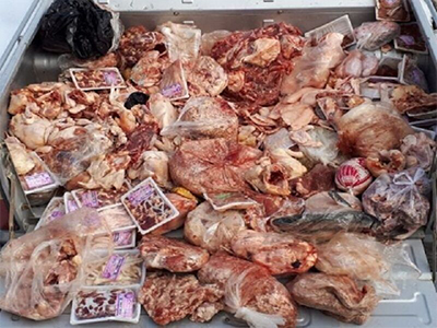 ۱۳ تن گوشت غیر بهداشتی در قزوین معدوم شد